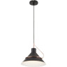 Подвесной светильник FREYA AMIS FR5025PL-01B